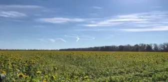 Bakhmut kentinde cephe hattında konuşlanan Ukraynalı askerler görüntülendi