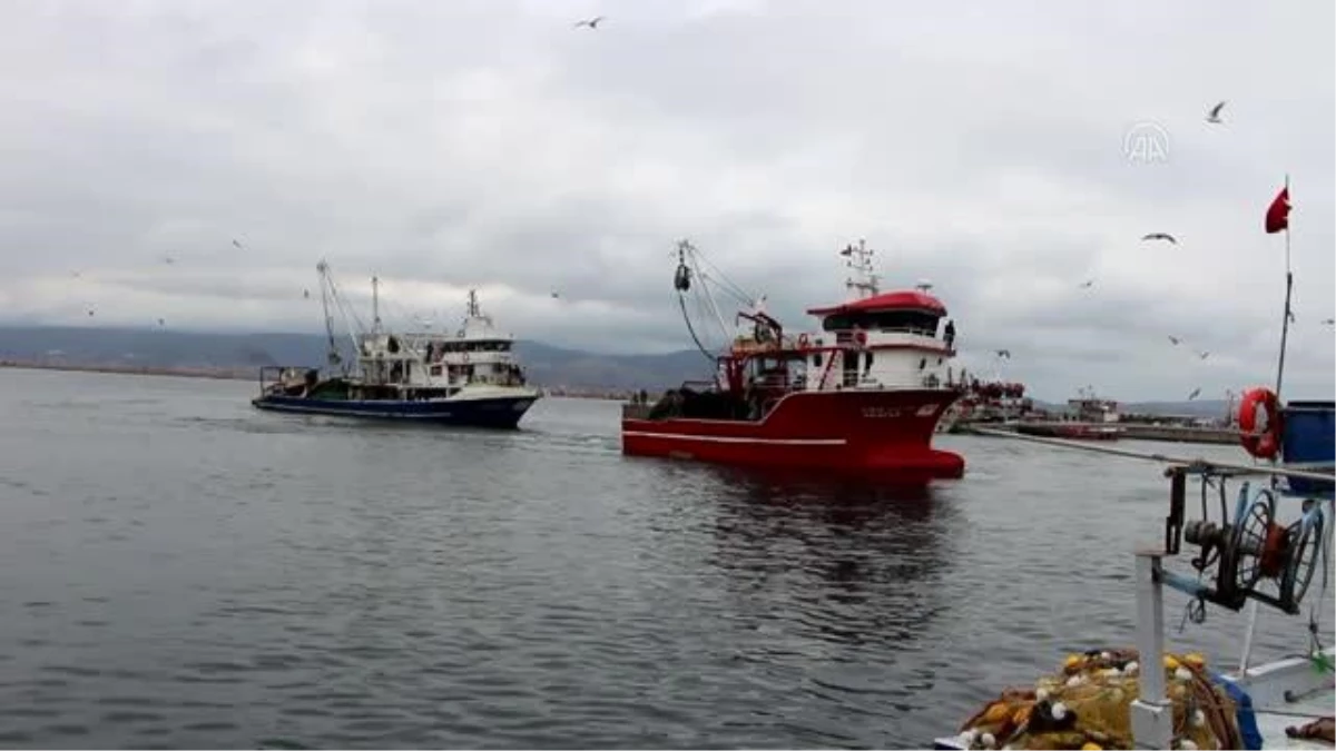Balıkesir ekonomi haberi | BALIKESİR - Bandırma Körfezi\'nde palamut yoğunluğu devam ediyor