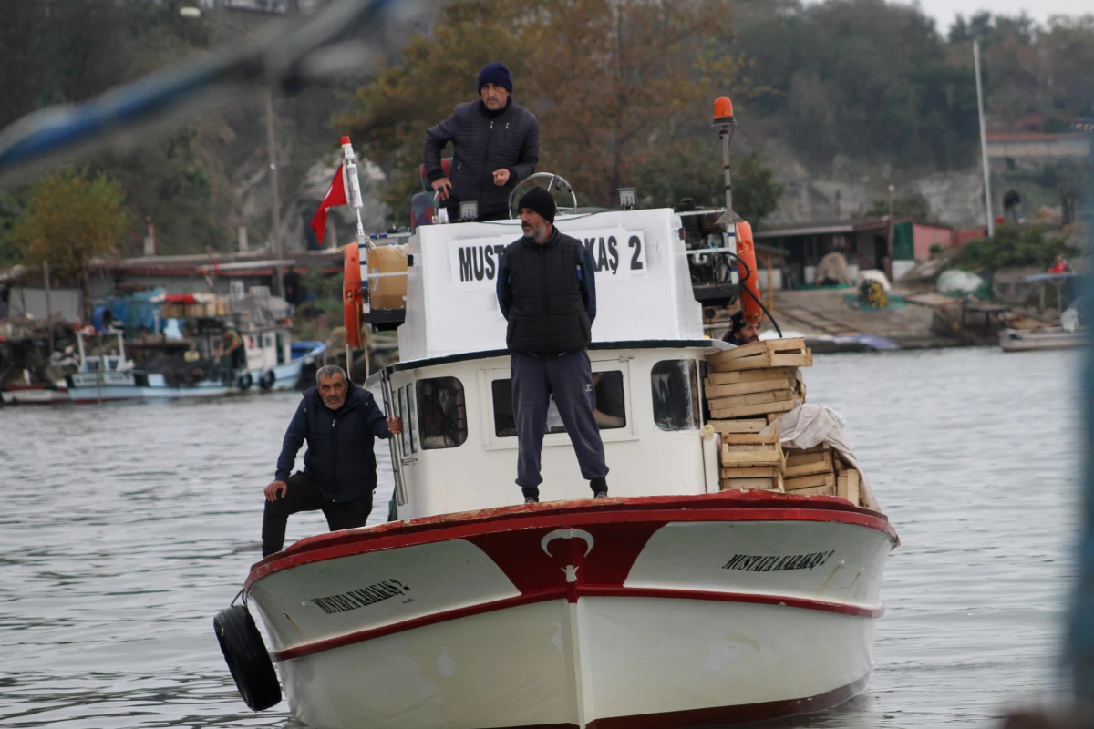 Batı Karadeniz\'de palamut bolluğu fiyatlara yansıdı