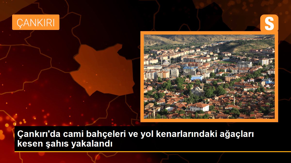 Çankırı haberi | Çankırı\'da cami bahçeleri ve yol kenarlarındaki ağaçları kesen şahıs yakalandı