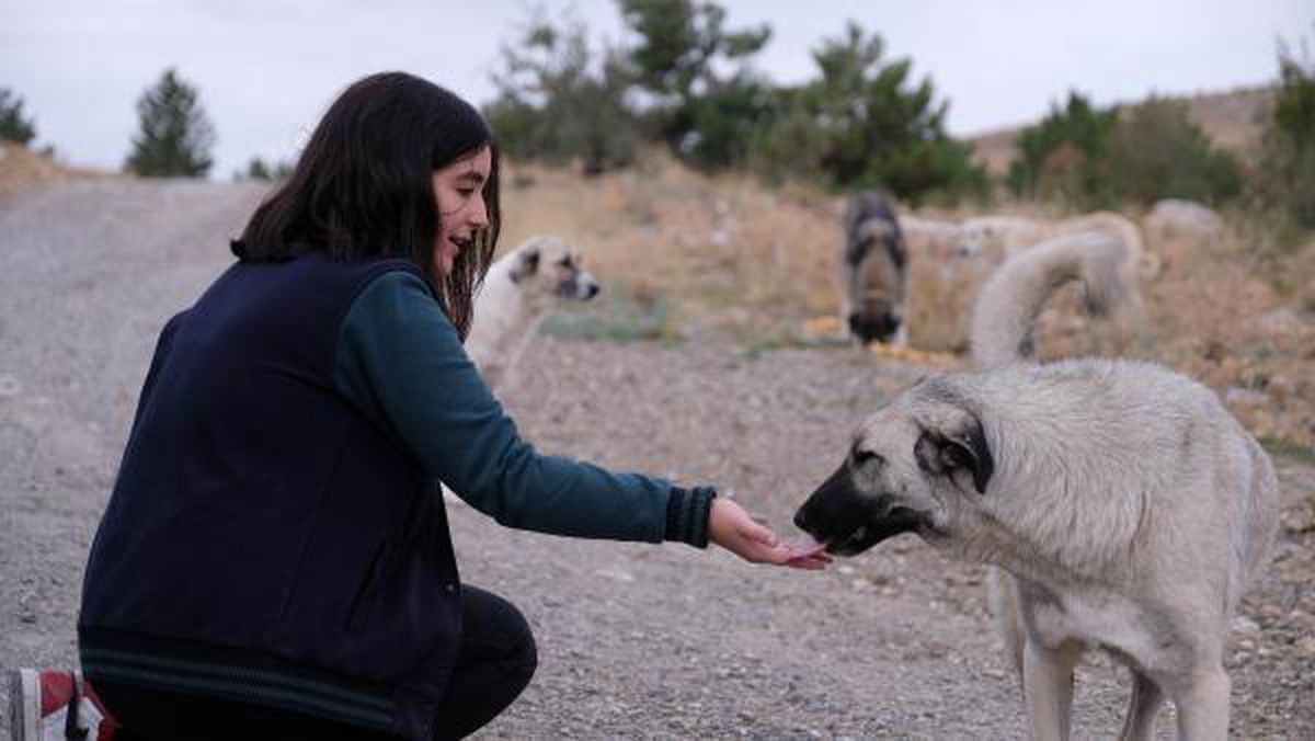 High school student feeds stray animals every day