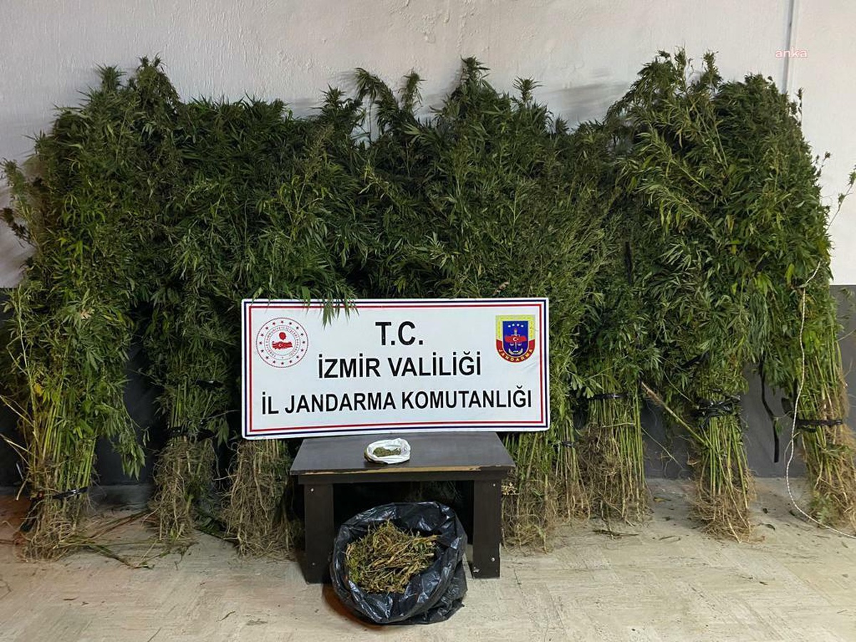 Son dakika haberleri | İzmir\'de Jandarmadan Uyuşturucu Operasyonları