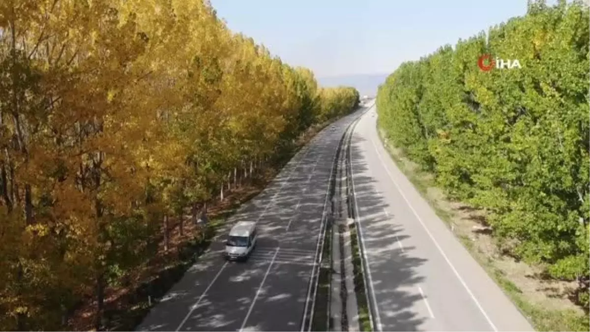 Kara yolunda sonbahar koridoru