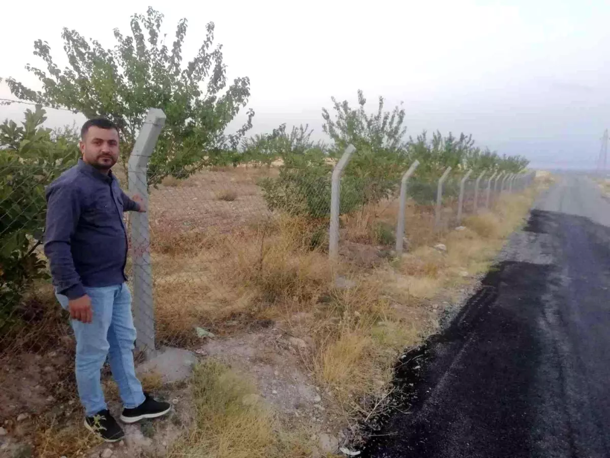 Kayısı üreticisinin başı tel örgü hırsızlarıyla dertte