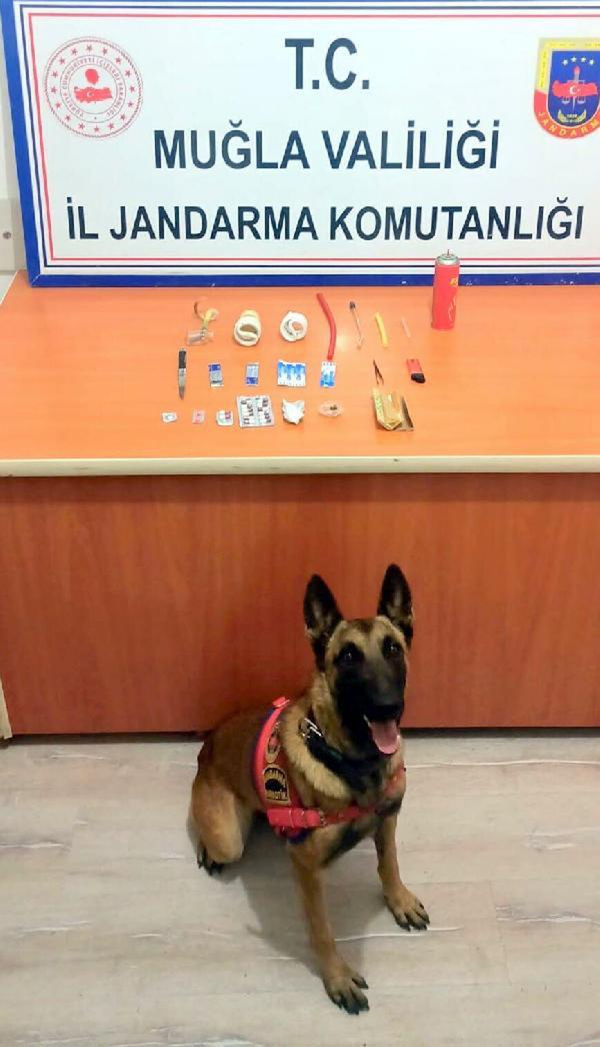 Otomobildeki uyuşturucuyu narkotik köpeği \'Mendil\' buldu