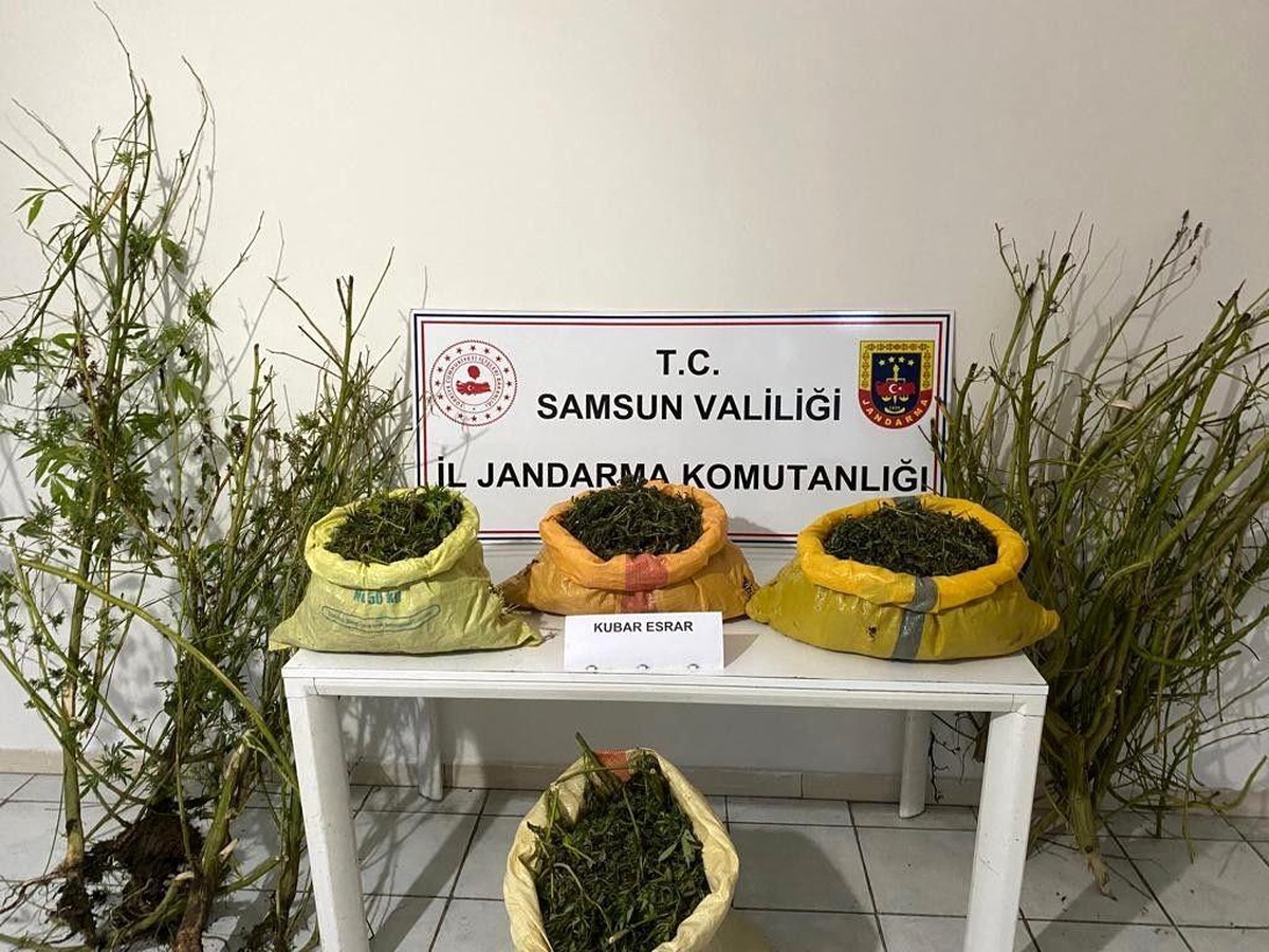 Samsun haberi: Samsun\'da 25 kilo 750 gram kubar esrar ele geçirildi
