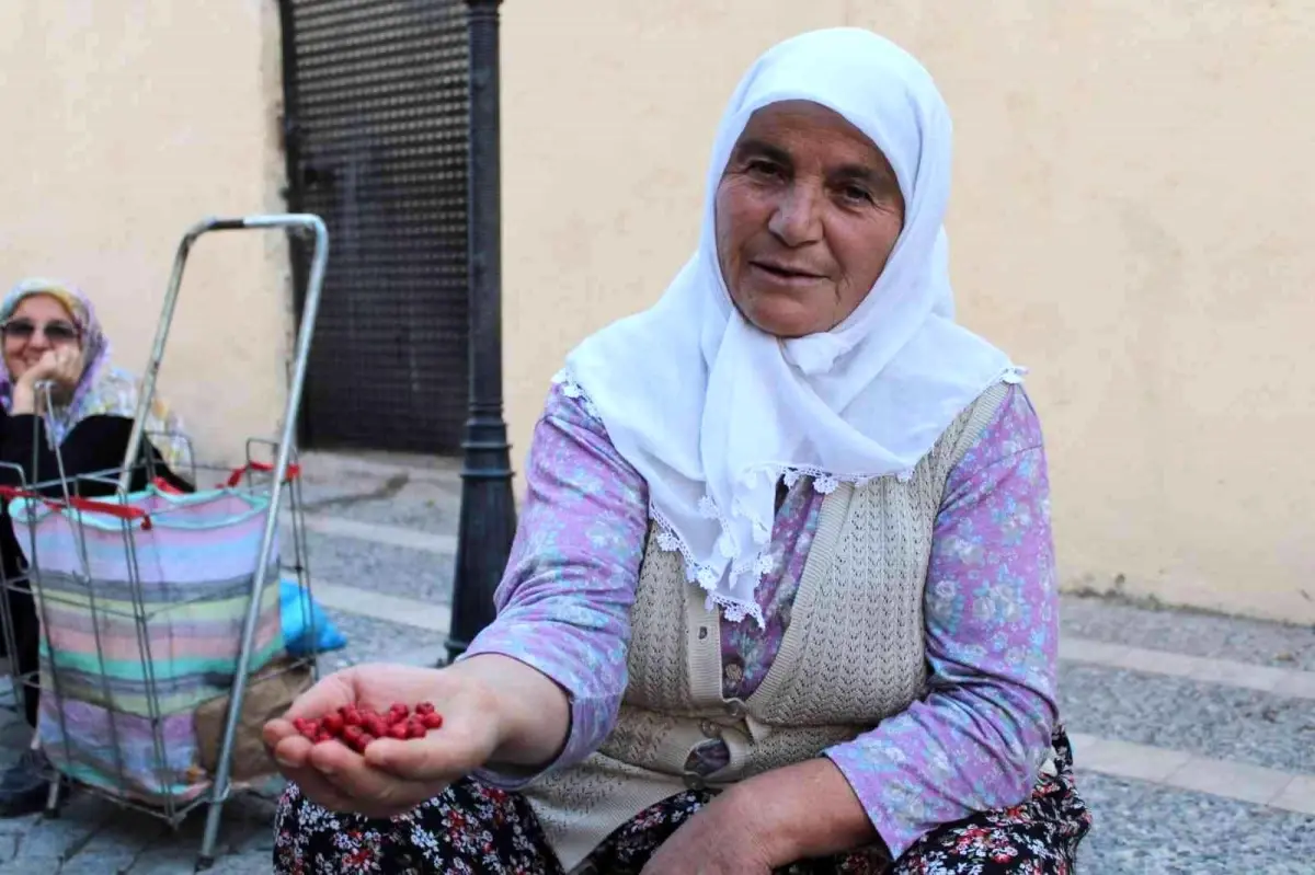 Sonbaharın kırmızısı şifa kaynağı kızılcık, pazar tezgahlarında