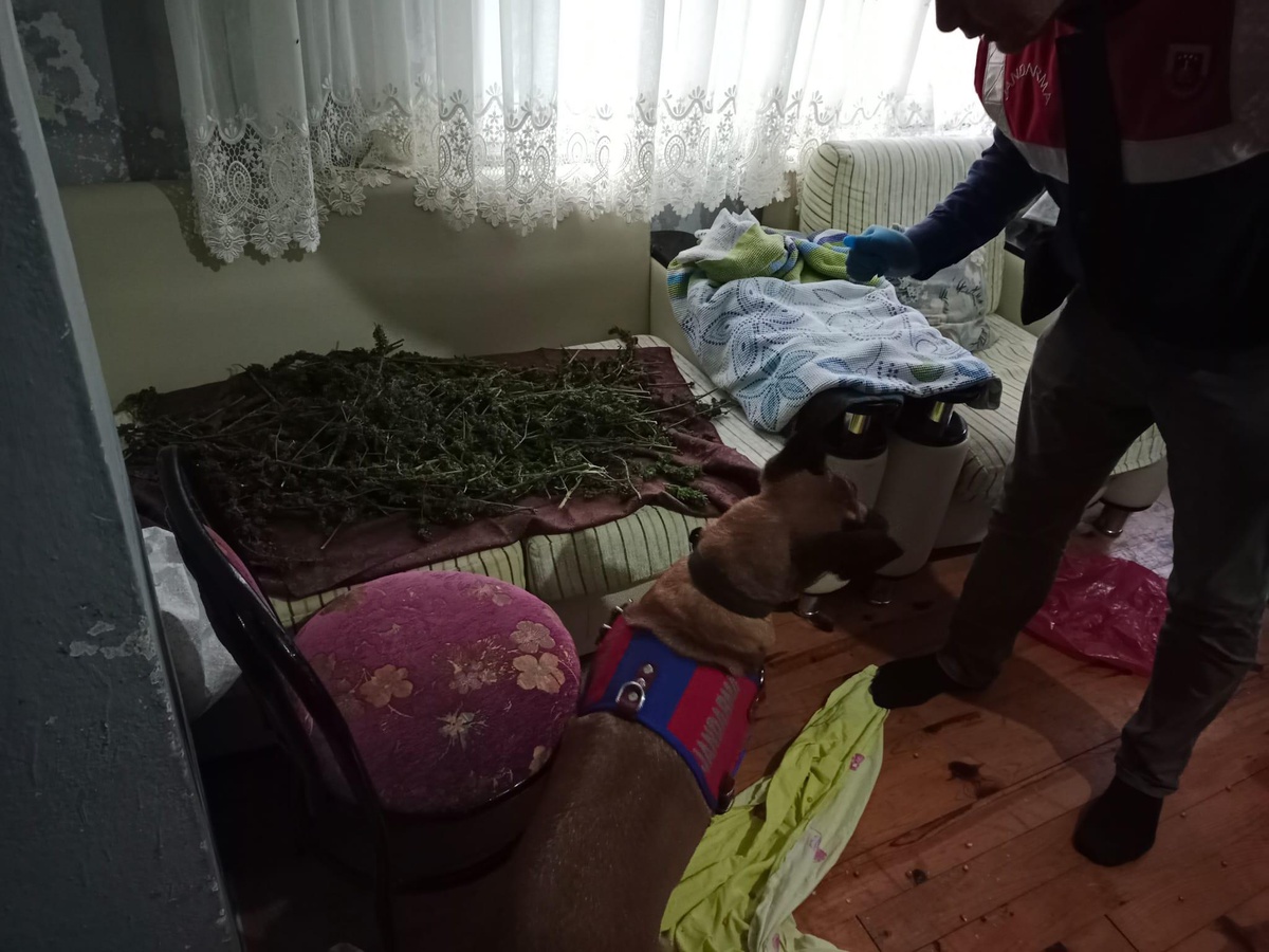 Trabzon haber! Trabzon\'da uyuşturucu operasyonunda 1 şüpheli yakalandı