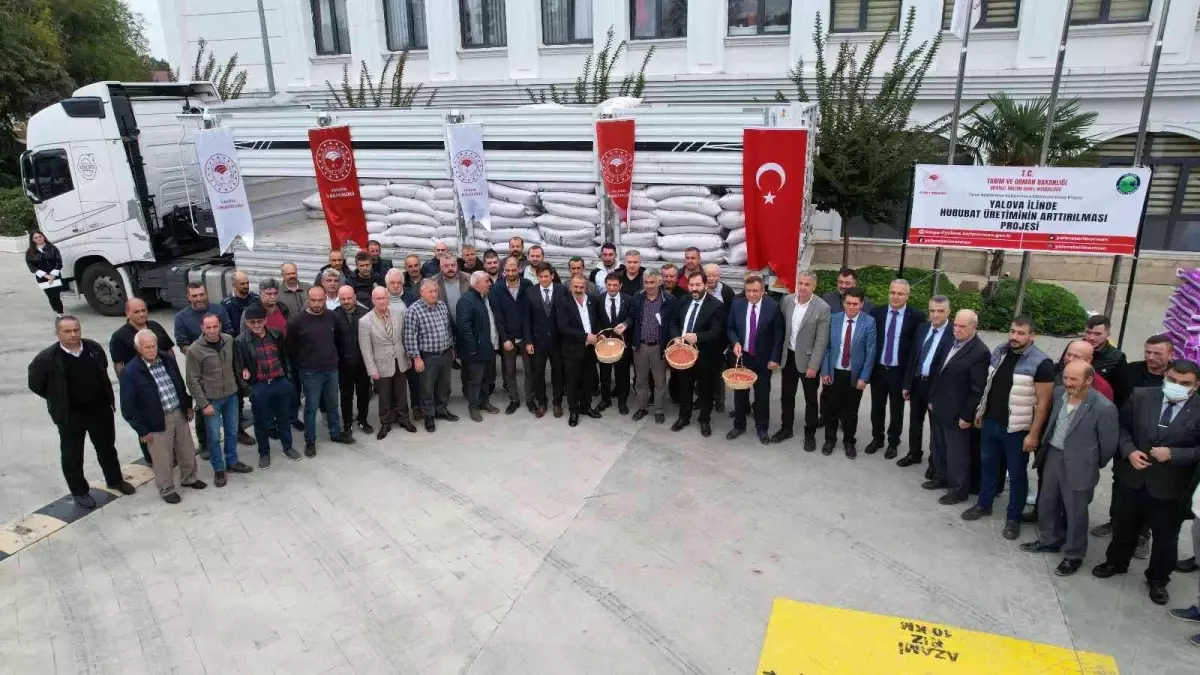 Yalovalı çiftçilere 135 ton buğday ve arpa tohumu dağıtıldı