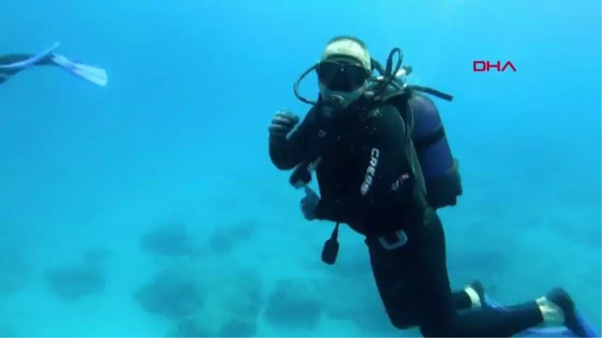 ANTALYA-ŞAMANDIRA HALATINA TAKILAN CARETTA CARETTA, DALGIÇLAR TARAFINDAN KURTARILDI