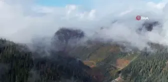 Artvin haberi | Artvin'de sonbaharın gelmesiyle oluşan renk cümbüşü böyle görüntülendi