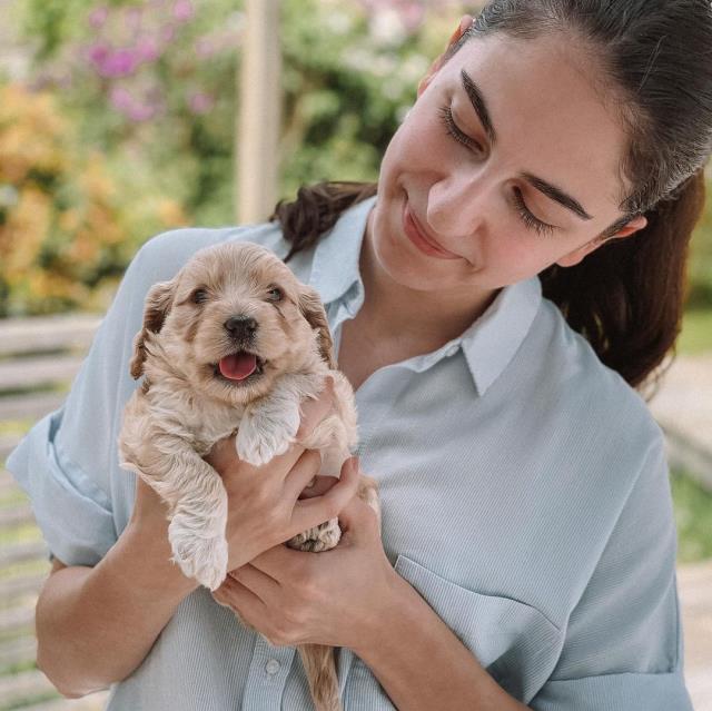Daha 26 yaşında! İran asıllı Romina Pourmokhtari İsveç'in en genç bakanı oldu
