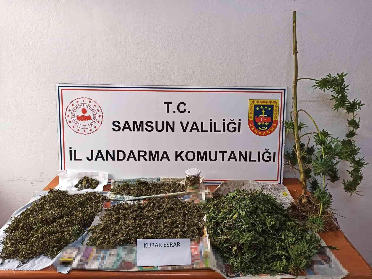 Son dakika haberleri... Jandarma 2 kilo 152 gram esrar ele geçirdi: 2 gözaltı