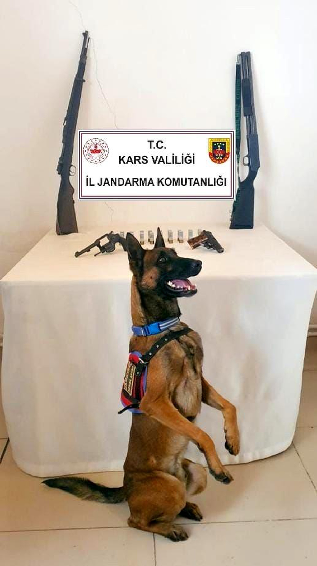 Son dakika haberi! Kars\'ta jandarma 2 tüfek, 4 tabanca ele geçirdi