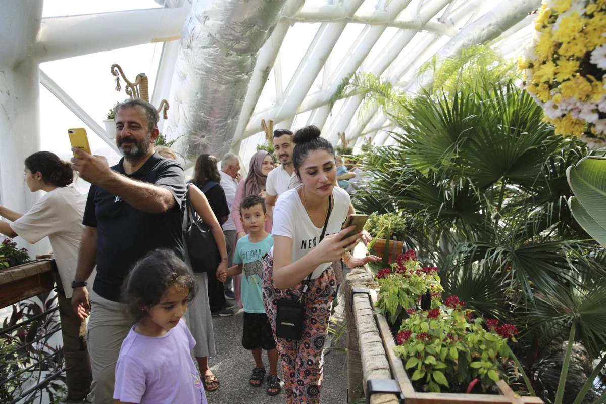 Konya haberleri! Konya Tropikal Kelebek Bahçesi bu yıl 450 bin 739 ziyaretçi ağırladı