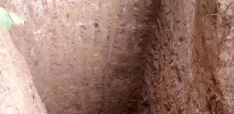 Mantar toplamaya gitti, gördüğü manzara karşısında şok oldu
