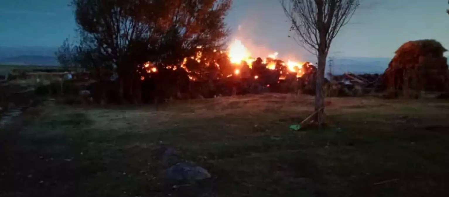 Son dakika haberleri... Tekman'da ot yangını
