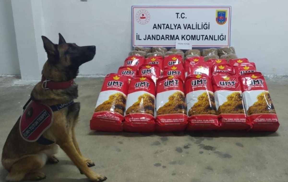 Son dakika haberi | Antalya\'da kaçak tütün operasyonunda 1 şüpheli yakalandı