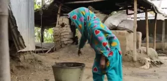 Bangladeş'te yaşayan 96,5 santimetre boyundaki Masura Begum