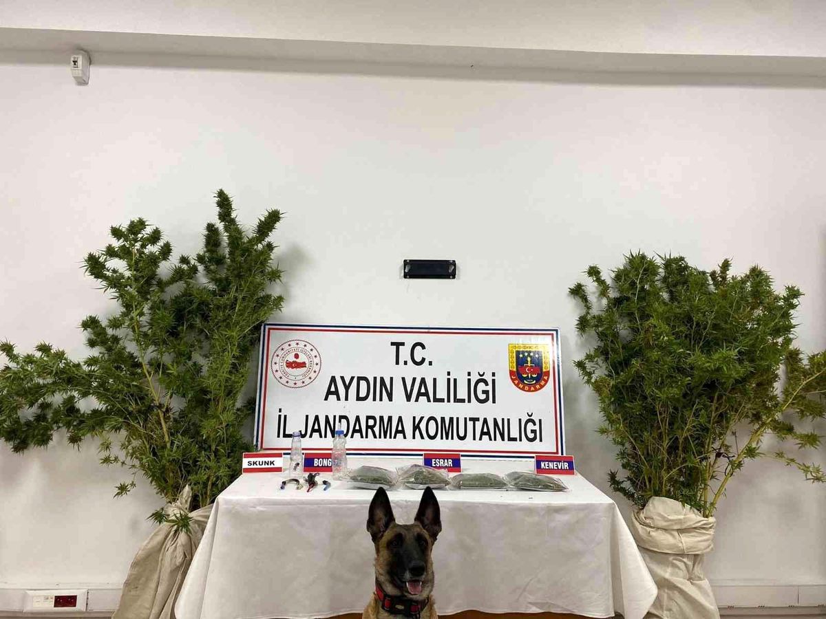 Son dakika haberi... Jandarma ekiplerinden uyuşturucu operasyonu: 1 tutuklama