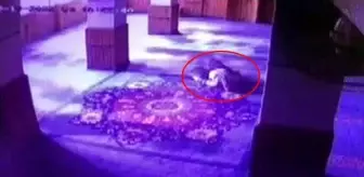 Camide namaz kılarken kalp krizi geçiren adam, son nefesini secdede verdi! O anlar kameralara yansıdı