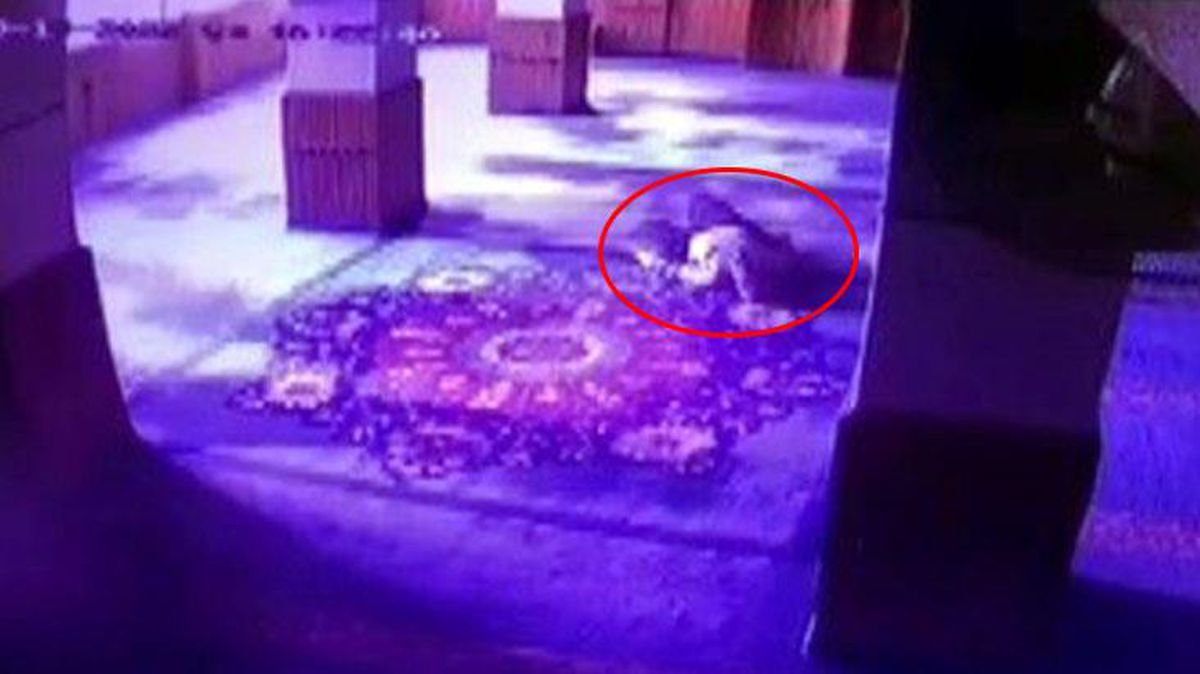 Camide namaz kılarken kalp krizi geçiren adam, son nefesini secdede verdi! O anlar kameralara yansıdı