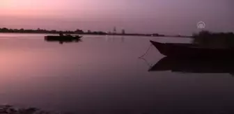 Sudan'da balıkçıların buluşma noktası 'Mevrade balık pazarı'