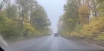 Ukrayna'nın Sviatohirsk kenti savaşın izlerini taşıyor