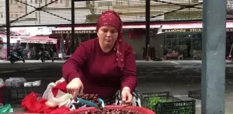 ZONGULDAK - Köylülerce toplanan kestaneler kilogramı 25 liradan satılıyor