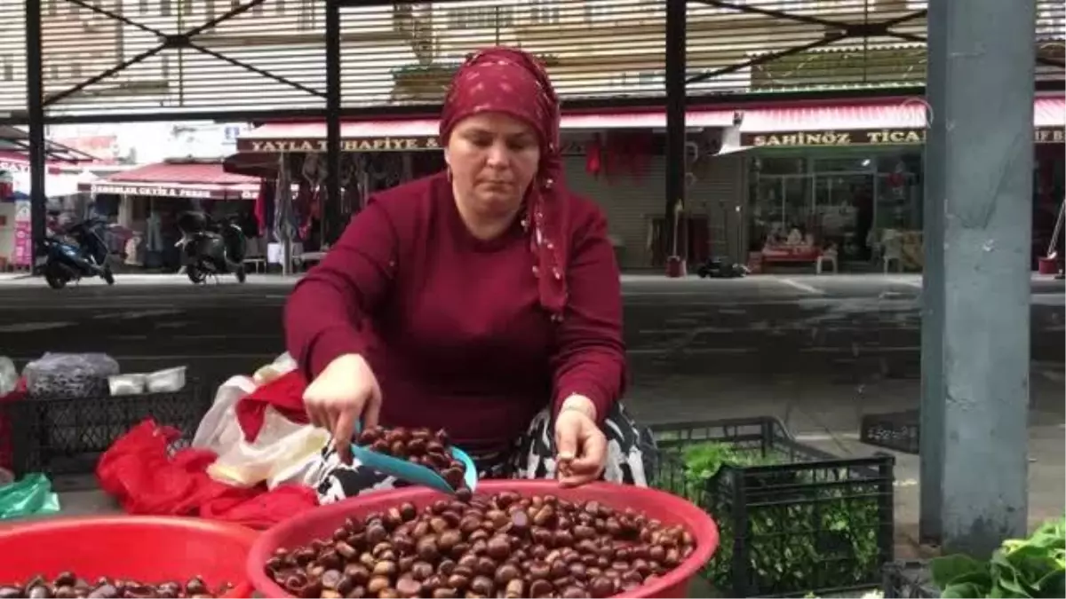 ZONGULDAK - Köylülerce toplanan kestaneler kilogramı 25 liradan satılıyor