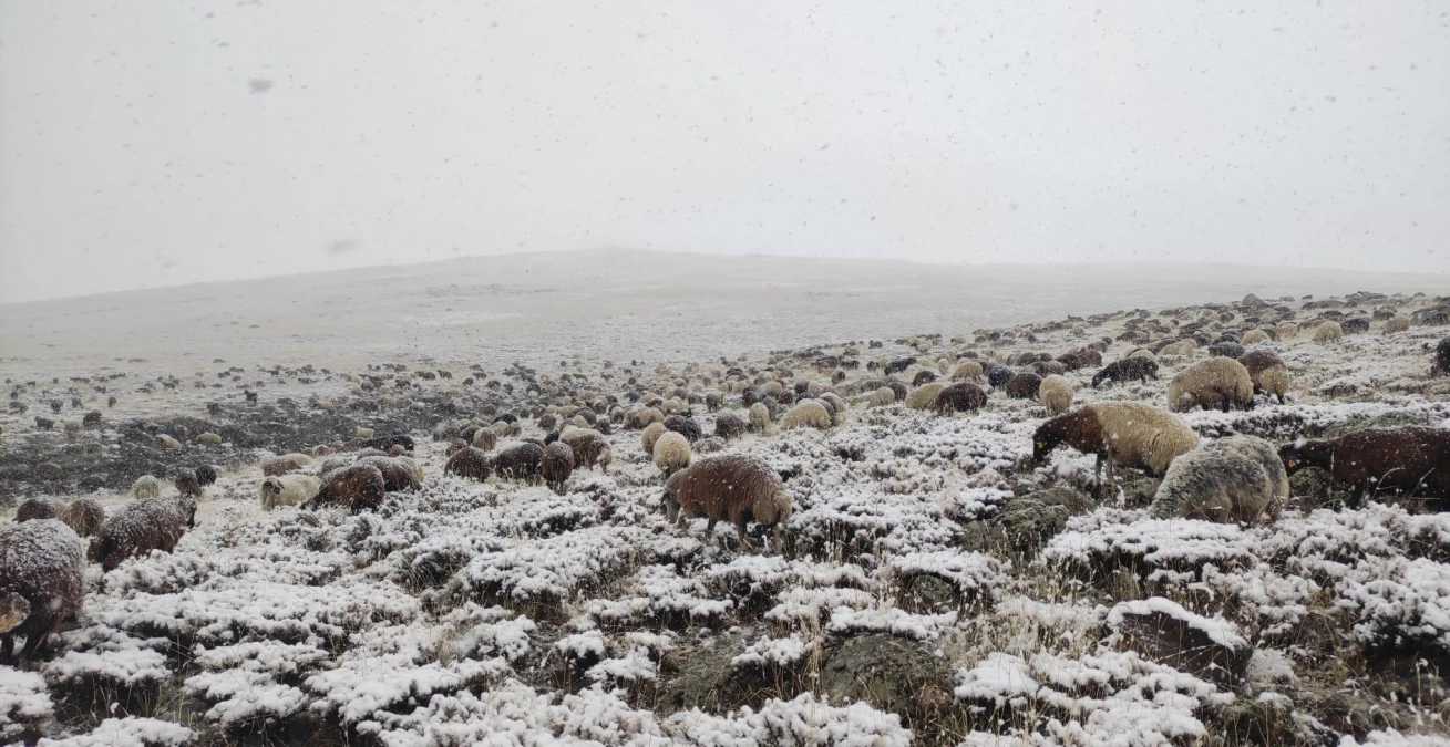 Ağrı haber: Ağrı\'da etkili olan kar ve siste çobanların zorlu mesaisi sürüyor
