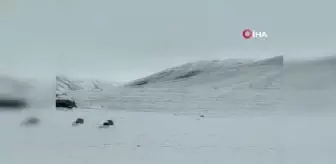 Ağrı haberi! Ağrı'nın yüksek kesimleri beyaza büründü