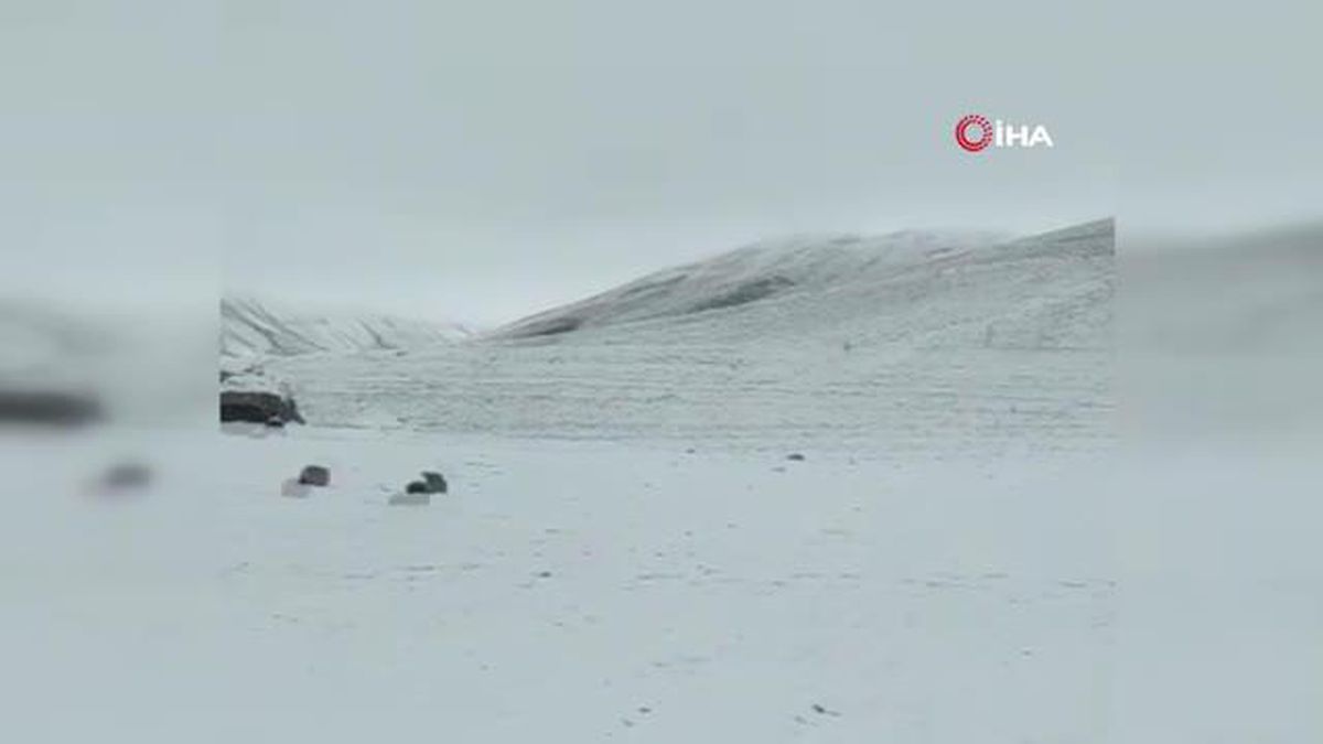 Ağrı haberi! Ağrı'nın yüksek kesimleri beyaza büründü