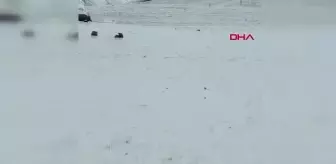 Ağrı haber... Ağrı'nın yüksek kesimleri karla kaplandı