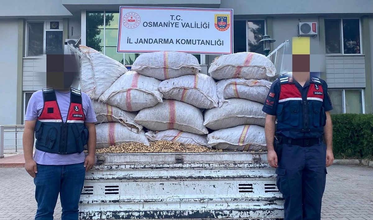Son dakika haber: Fıstık hırsızları jandarmadan kaçamadı