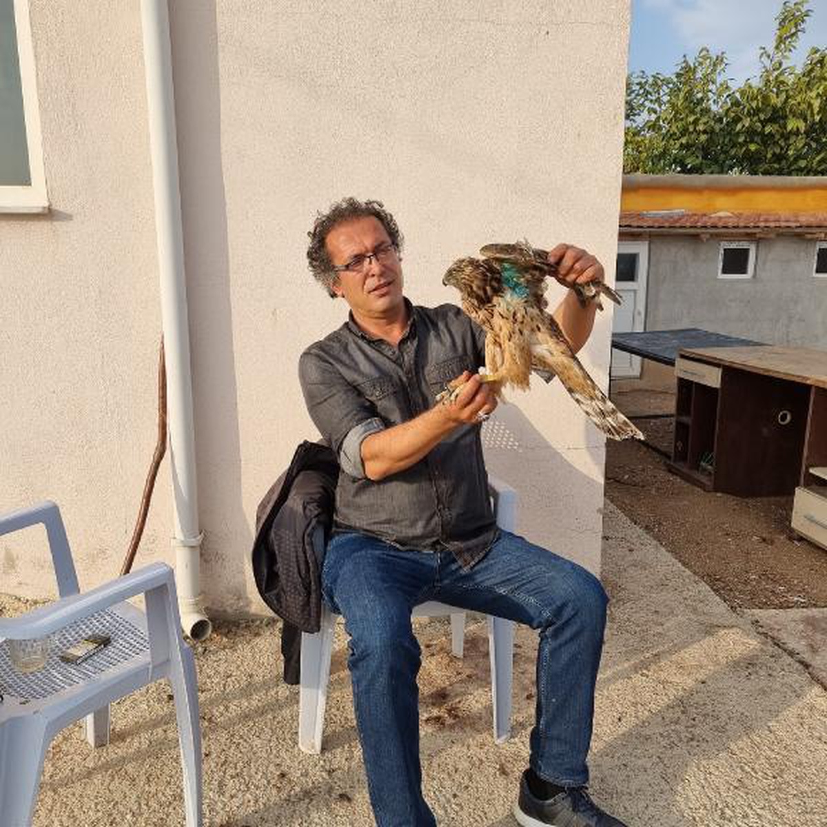 Son dakika haber... Güvercinlerini yemeye gelen yaralı doğanı tedavi edip, doğaya bıraktı
