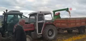 Kabaktan silaj yaptı, süt verimini artırdı