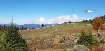 Bin 700 rakımlı Gorgit Yaylası ve Karçal Dağları sonbahar renklerine büründü.