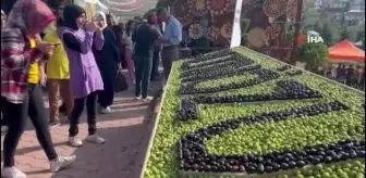 Hatay kültür sanat haberleri: Hatay'da zeytin ve zeytinyağı festivali