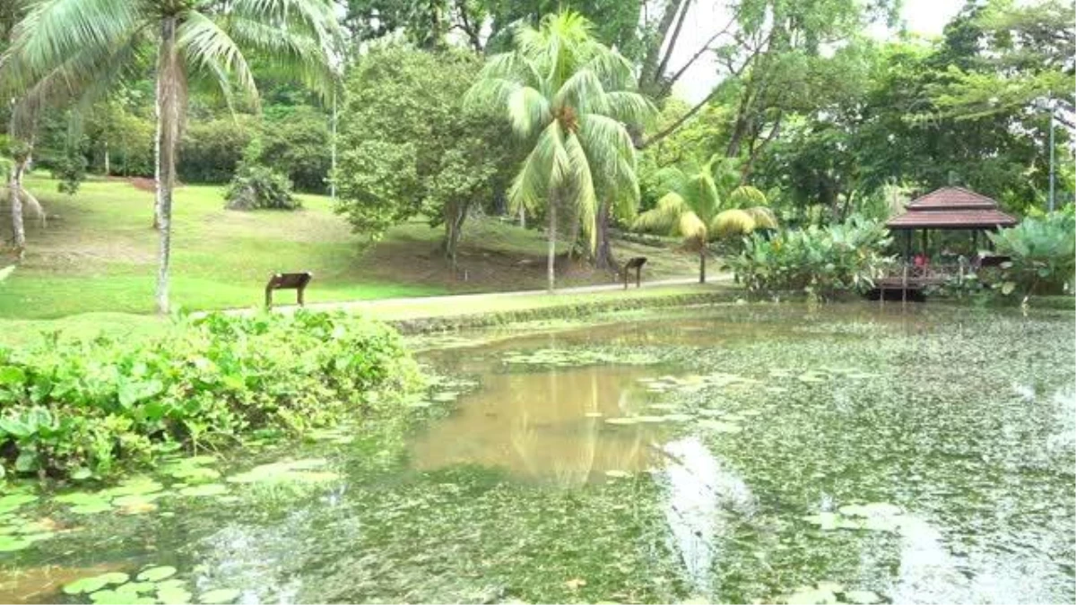 Kuala Lumpur\'un kalbindeki yaşam parkı: Perdana Botanik Bahçeleri