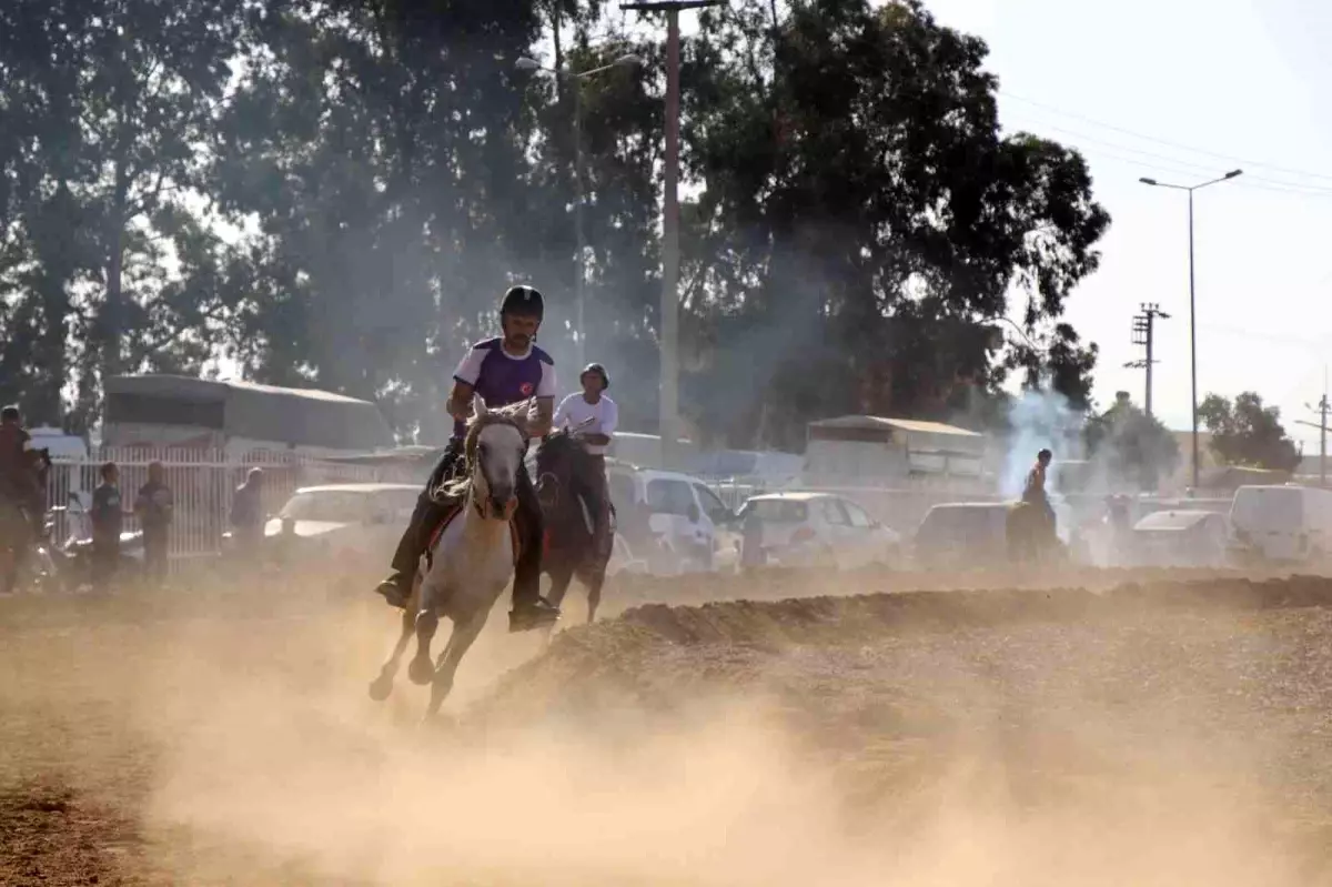 Aydın haberi! Nazilli'de Rahvan At Yarışı heyecanı yaşandı