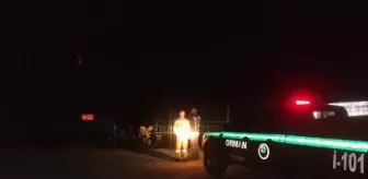 Osmaniye haberleri... Osmaniye'de orman yangını (2)