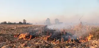 Son dakika haberi! Sakarya'da birçok noktadaki anız yangınları kontrol altına alındı