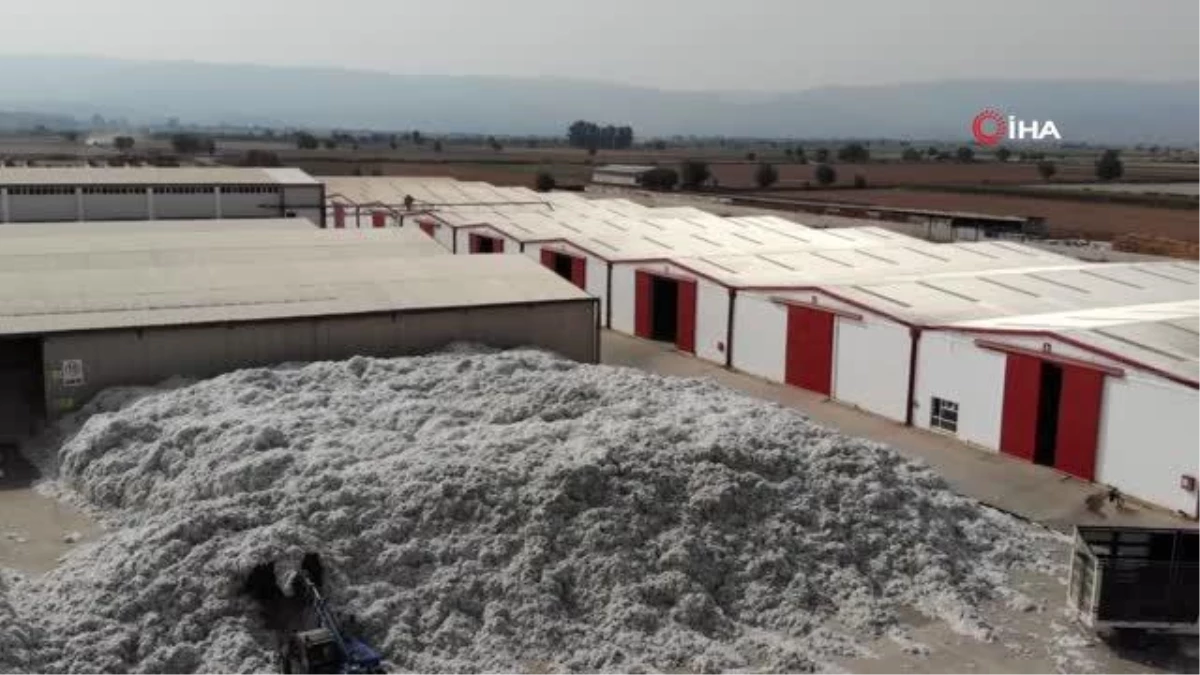 TARİŞ\'e rağbet arttı depolar 10 milyon 200 bin kilo pamukla doldu