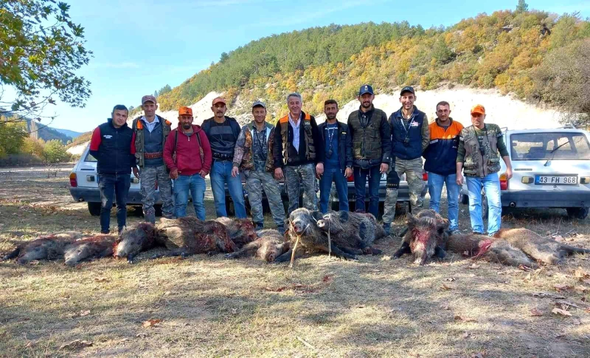 Hisarcıklı avcılar 2 saatte 11 yaban domuzu vurdu
