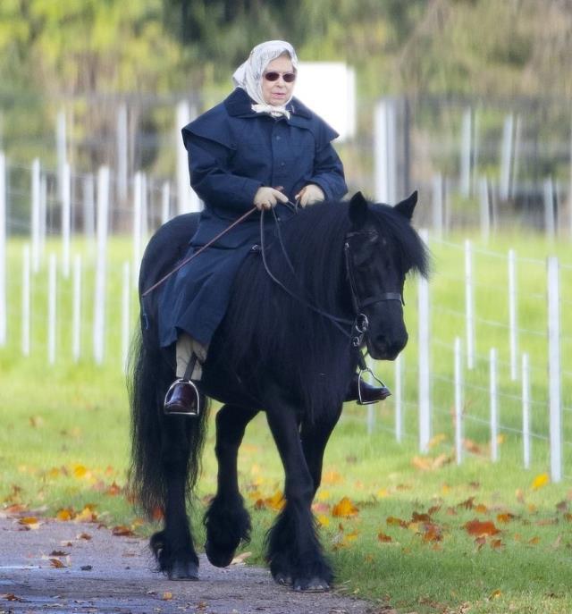 İngiltere Kralı Charles, Kraliçe'den kalan yarış atlarını satıyor