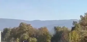 Karayolu'nda geri geri gitti, cezadan kaçamadı
