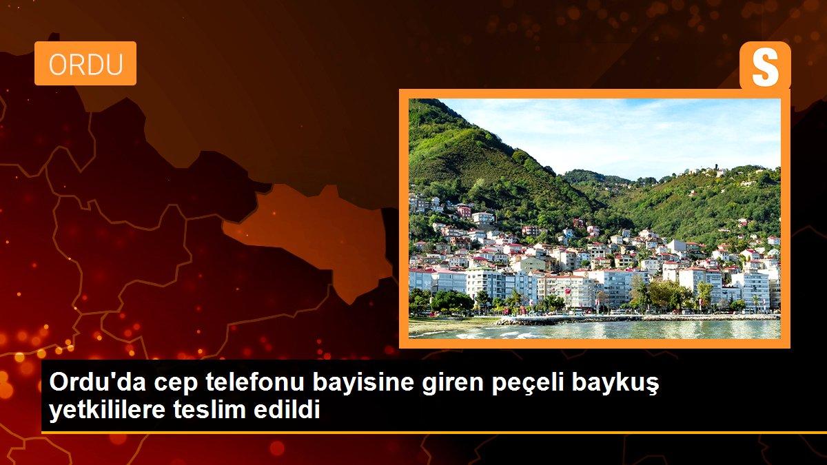 Ordu haberleri... Ordu\'da cep telefonu bayisine giren peçeli baykuş yetkililere teslim edildi