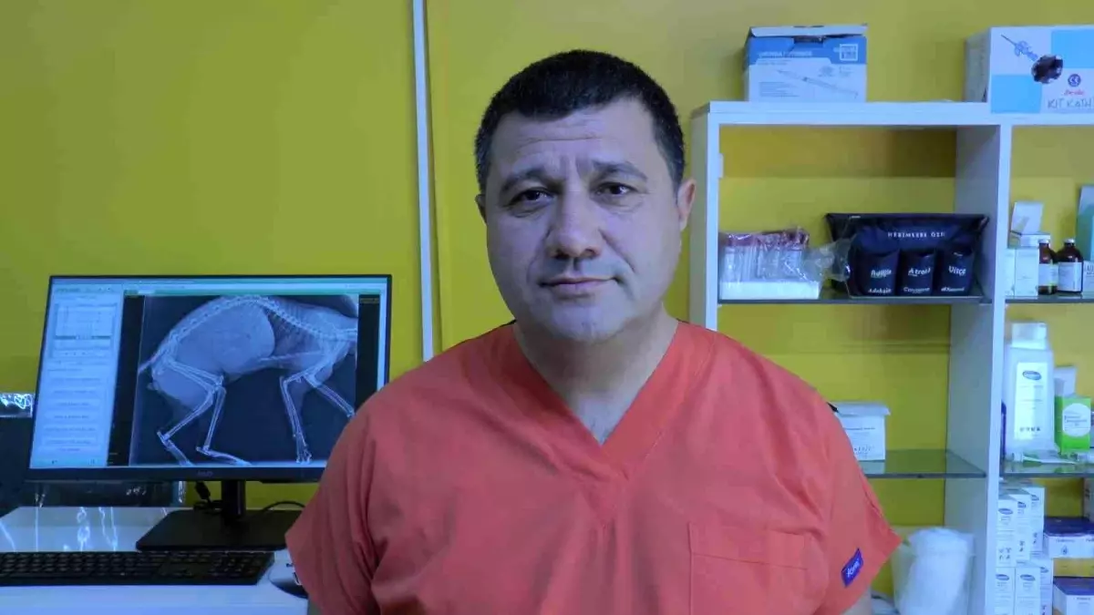 "Soğuk havalarda aracı çalıştırmadan önce motor kaputuna vurun"