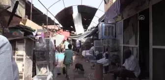 Sudan'da kuş pazarı